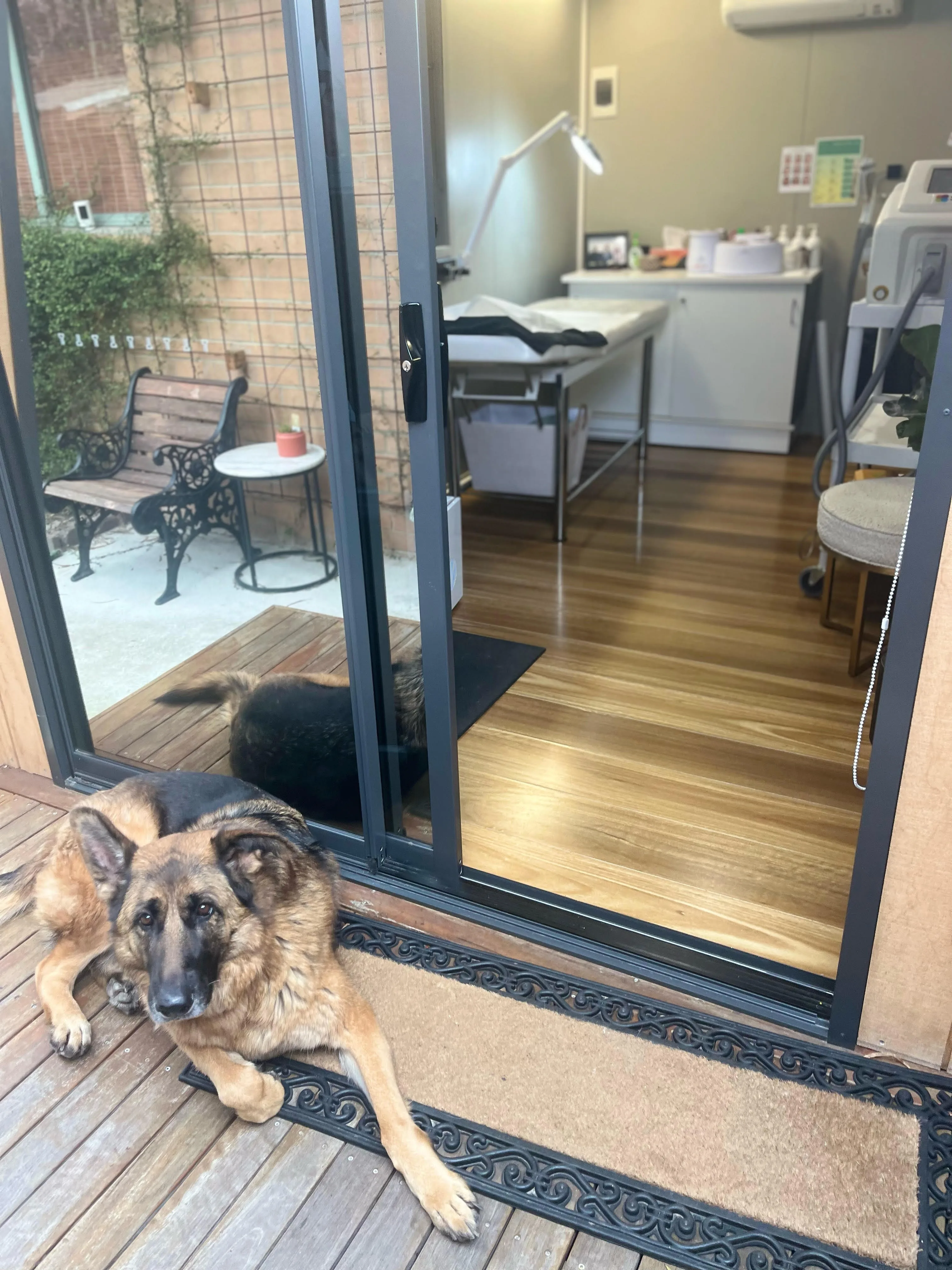 The resident dog resting at the open studio threshold
