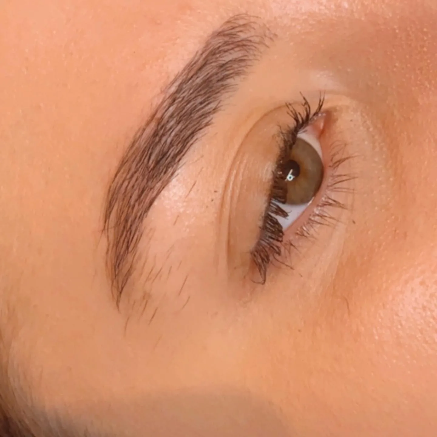 Close-up of freshly sculpted and lifted brows — finished work at Vanish Waxing Bar